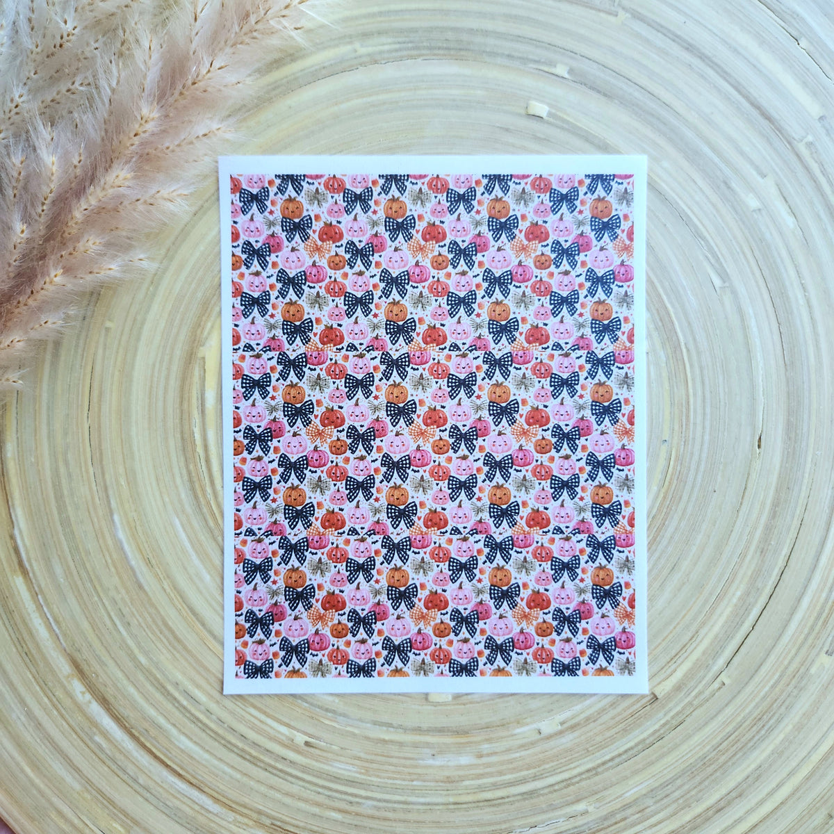 Transfer Paper (Fall Coquette Pumpkins)