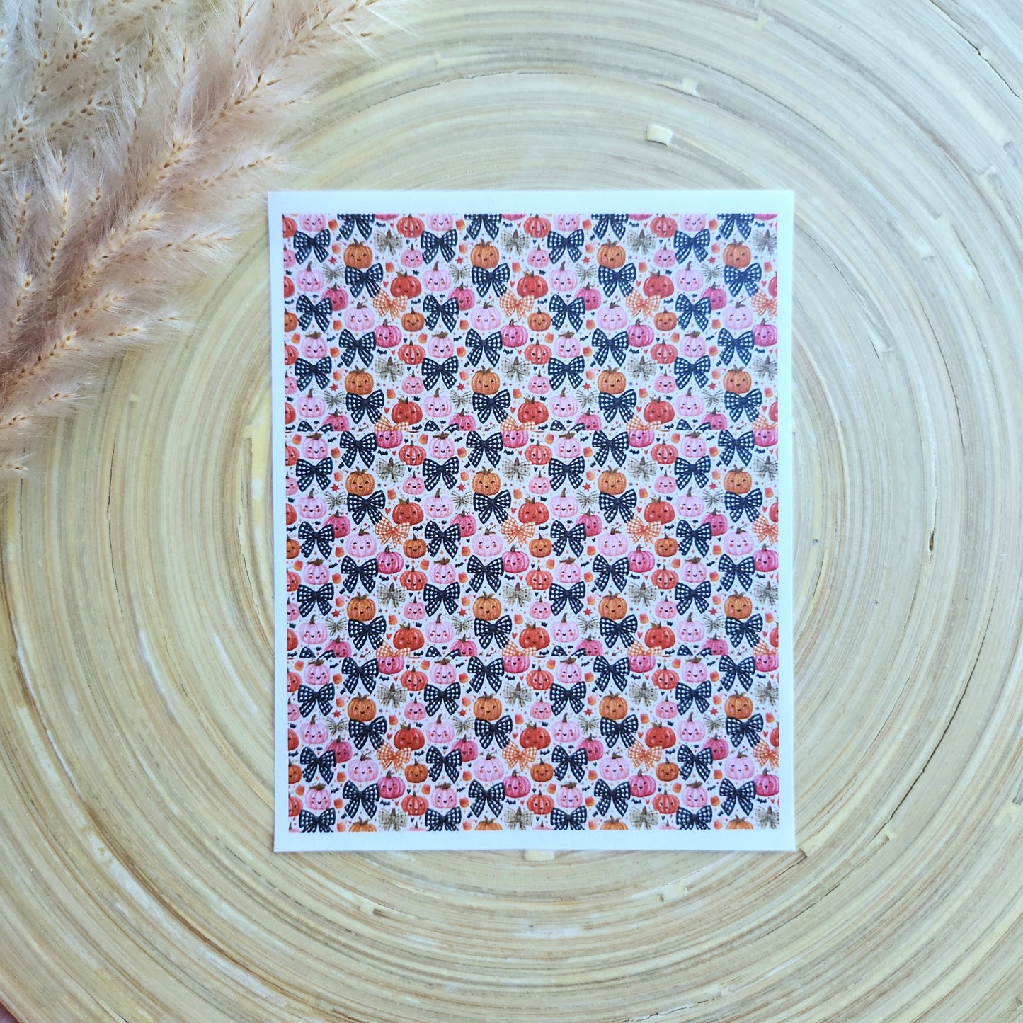 Transfer Paper (Fall Coquette Pumpkins)